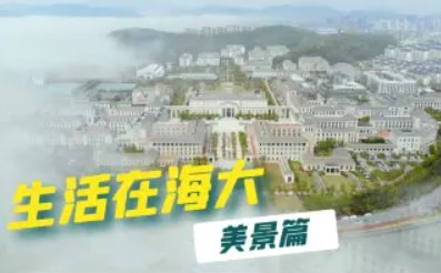 安博在线登录官网入口手机版登录管理