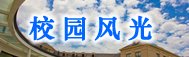 安博在线登录官网入口